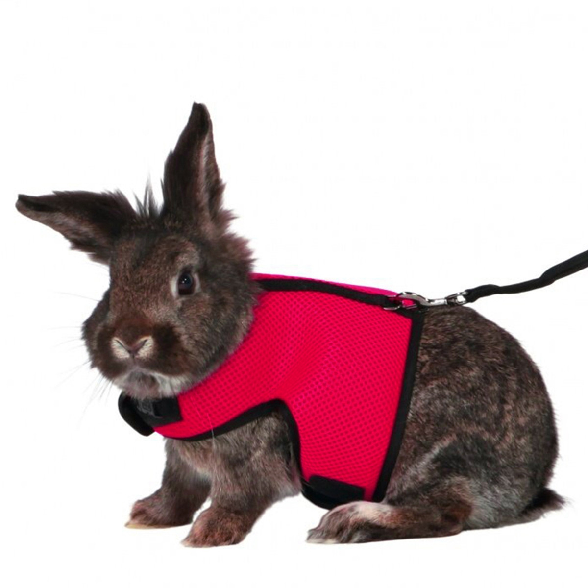 Pet Harness Leash For Rabbit B - Running Gear Rabbit recension och pris